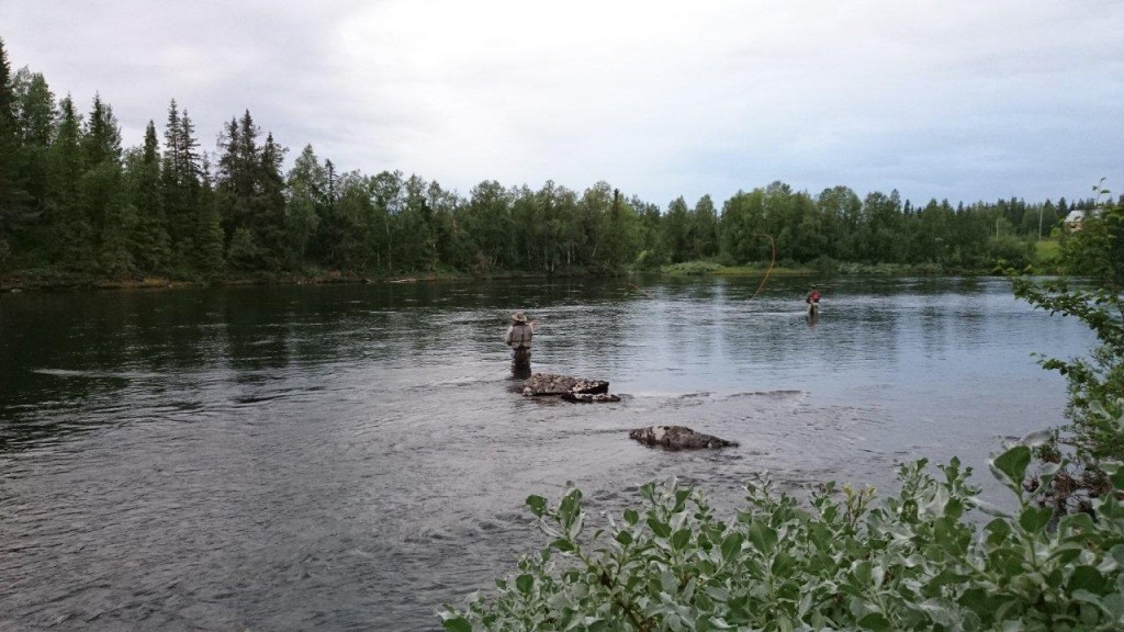 DSC_0777 (1)